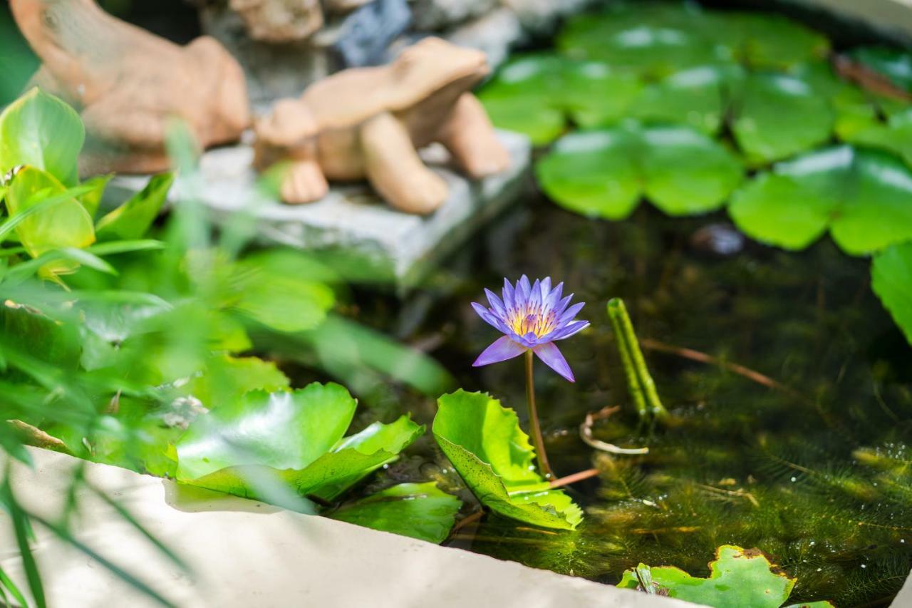 Rummana Boutique Resort - Sha Plus Lamai Beach  Eksteriør billede